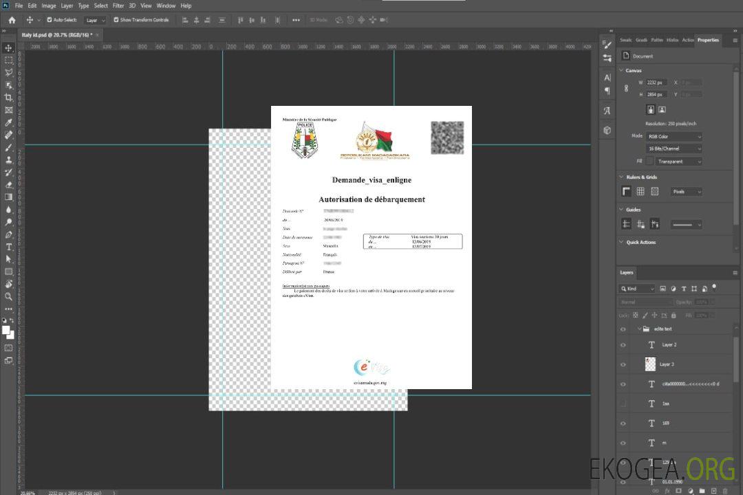 Permis de travail à Madagascar template
